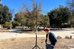 IMG_5363-scaled
